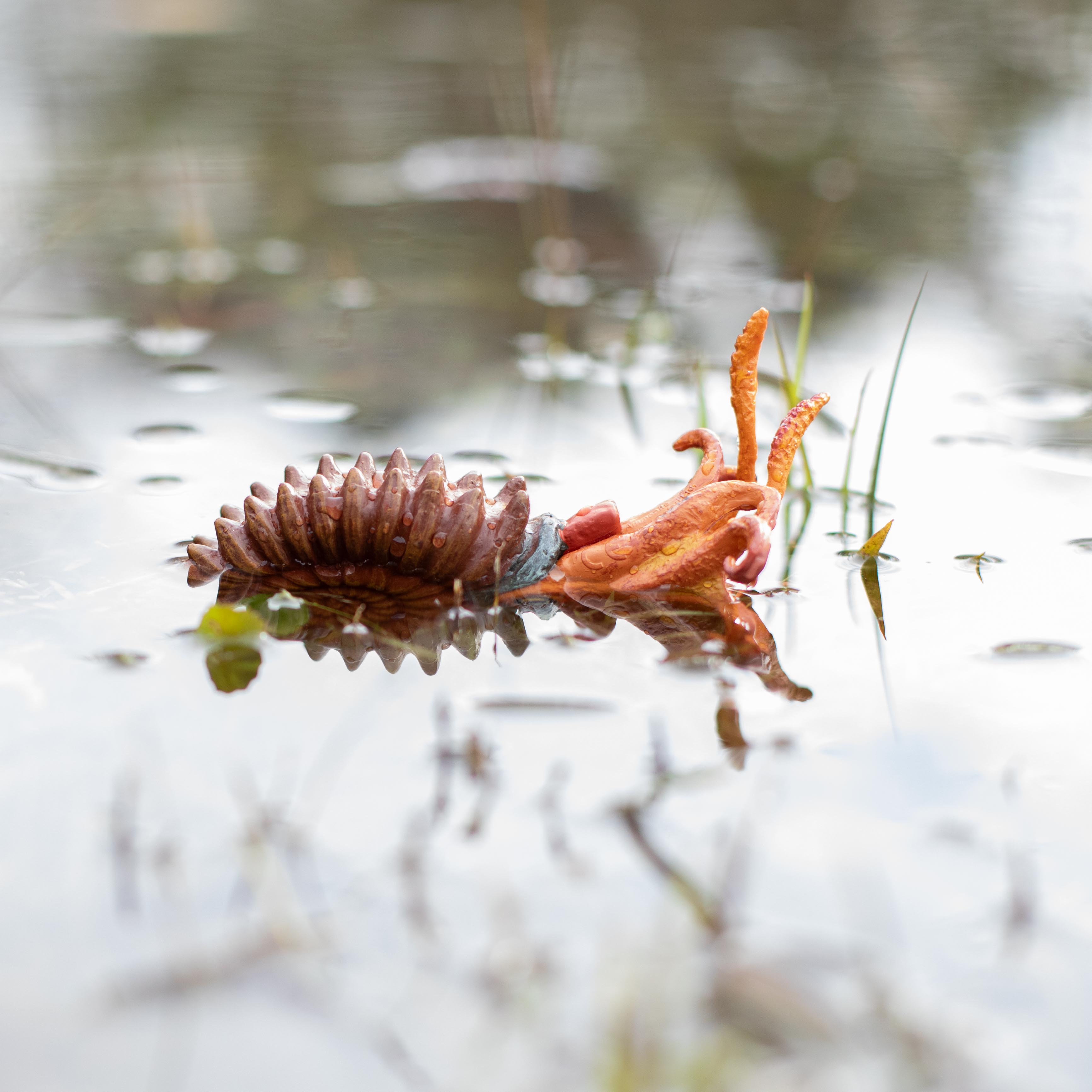 Ammonite Toy | Dinosaur Toys | Safari Ltd®