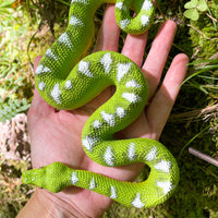 Emerald Tree Boa Toy Figure | Incredible Creatures | Safari Ltd®