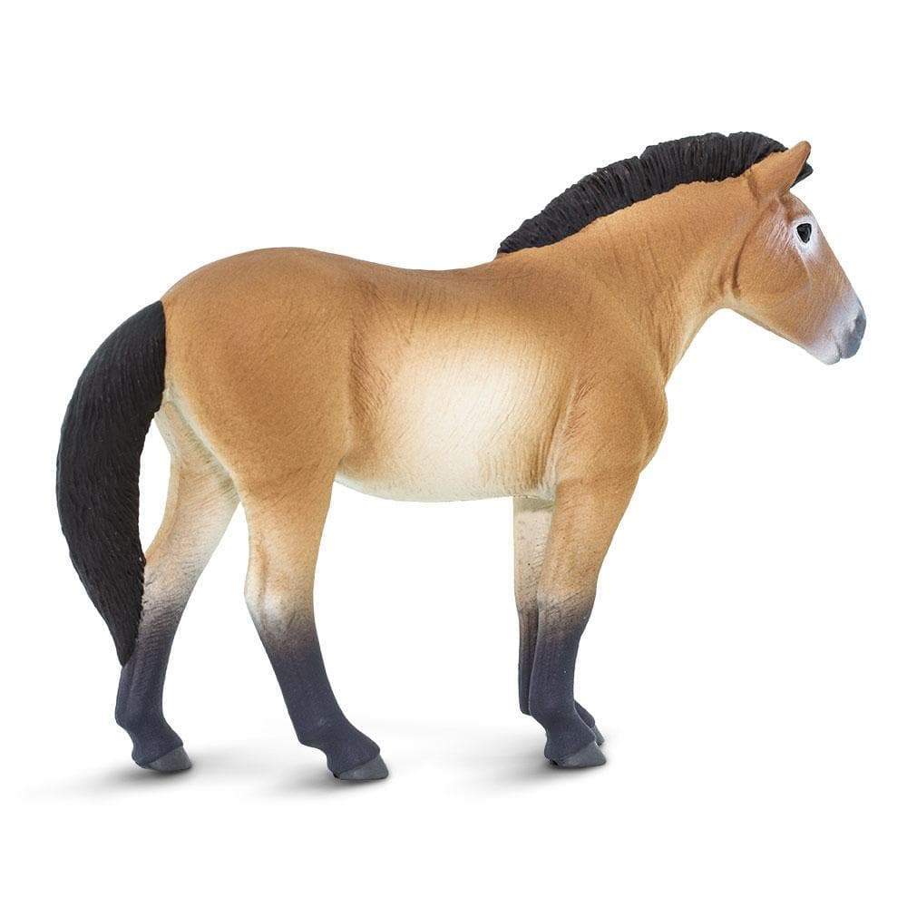 Przewalski's Horse Toy | Farm | Safari Ltd®