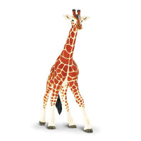 Reticulated Giraffe Toy