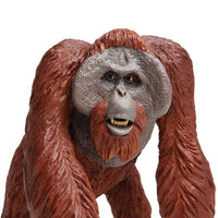 Bornean Orangutan Toy