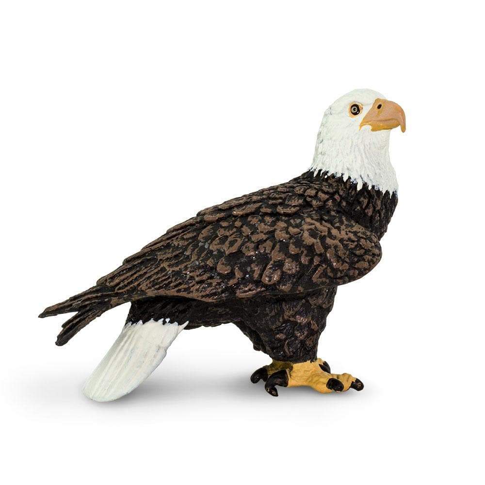 Bald Eagle Toy | Wildlife Animal Toys | Safari Ltd®