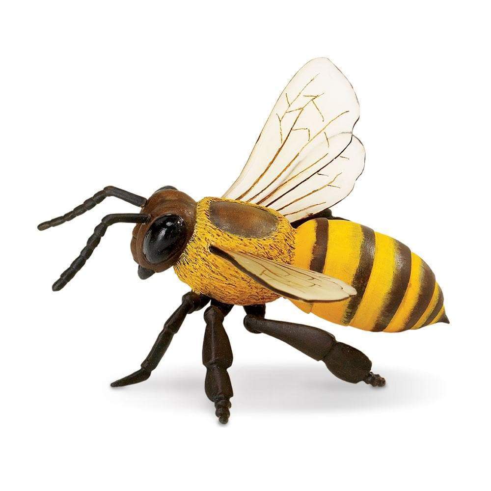 Honey Bee Toy | Incredible Creatures | Safari Ltd®