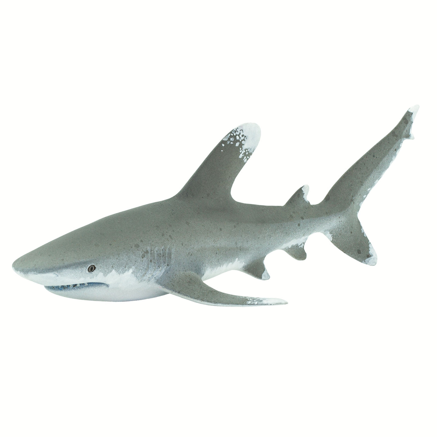 Oceanic Whitetip Shark Toy - Sea Life Toys by Safari Ltd.