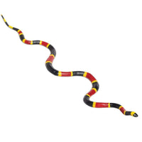 Coral Snake - Safari Ltd®