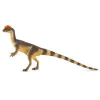 Dilophosaurus Toy | Dinosaur Toys | Safari Ltd.