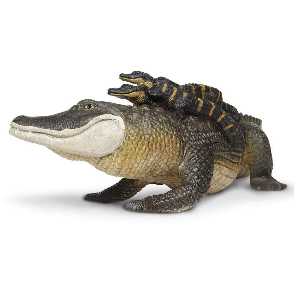 Alligator with Babies Toy