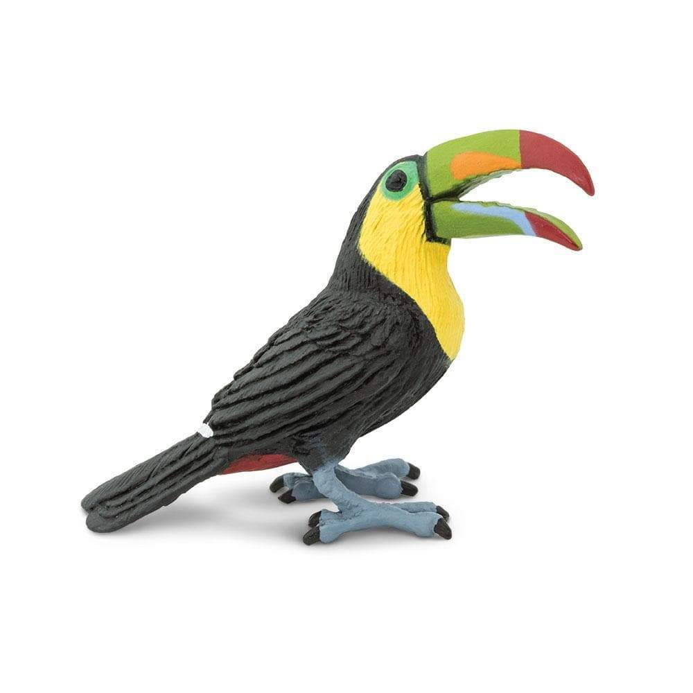 Toucan - Safari Ltd®