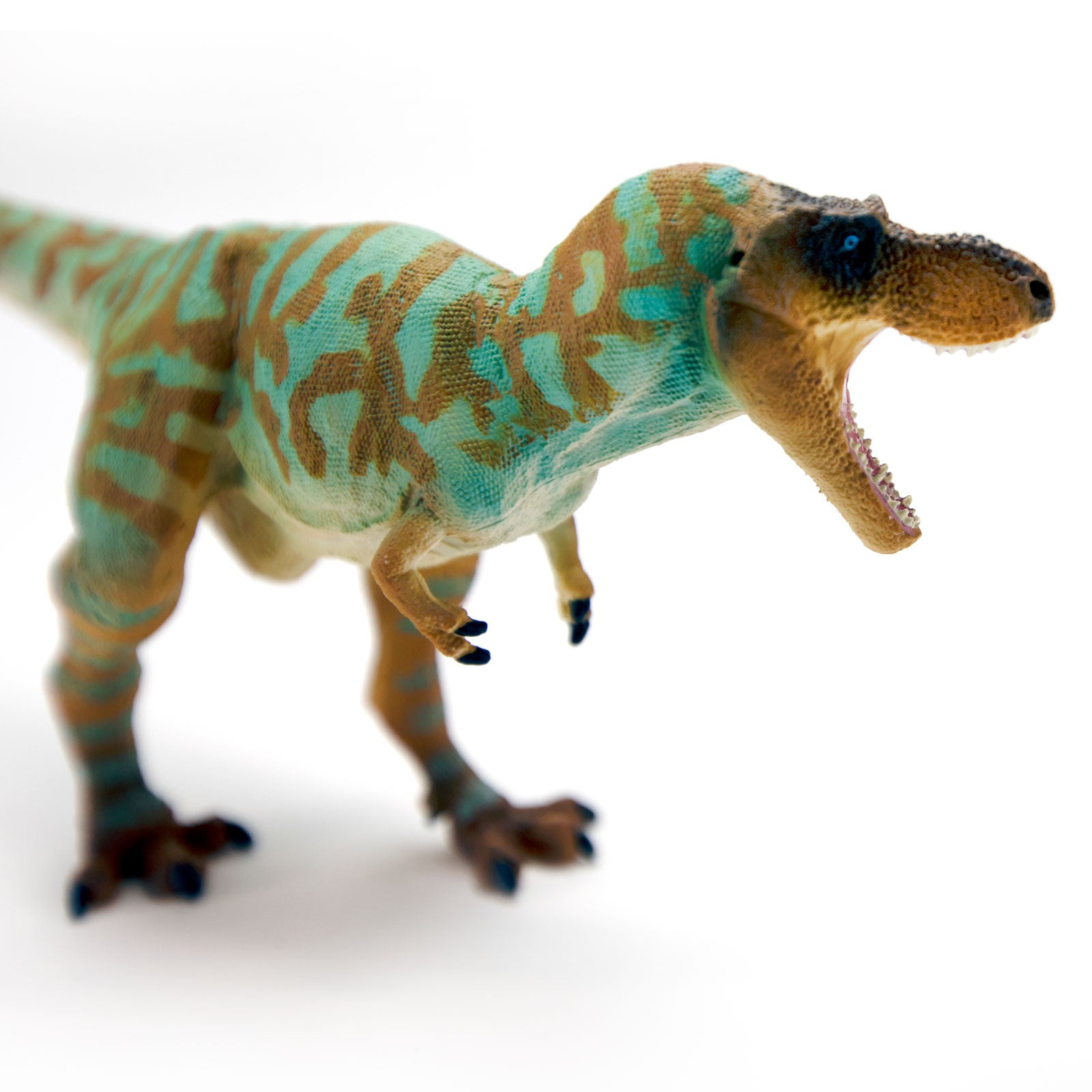 Albertosaurus Toy Dinosaur Figure