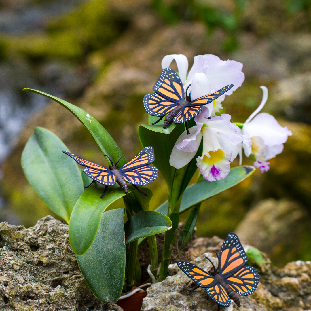 Monarch Butterfly Toy | Incredible Creatures | Safari Ltd®