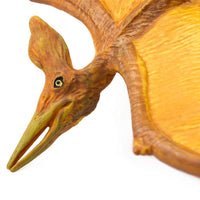 Pteranodon Toy | Dinosaur Toys | Safari Ltd®