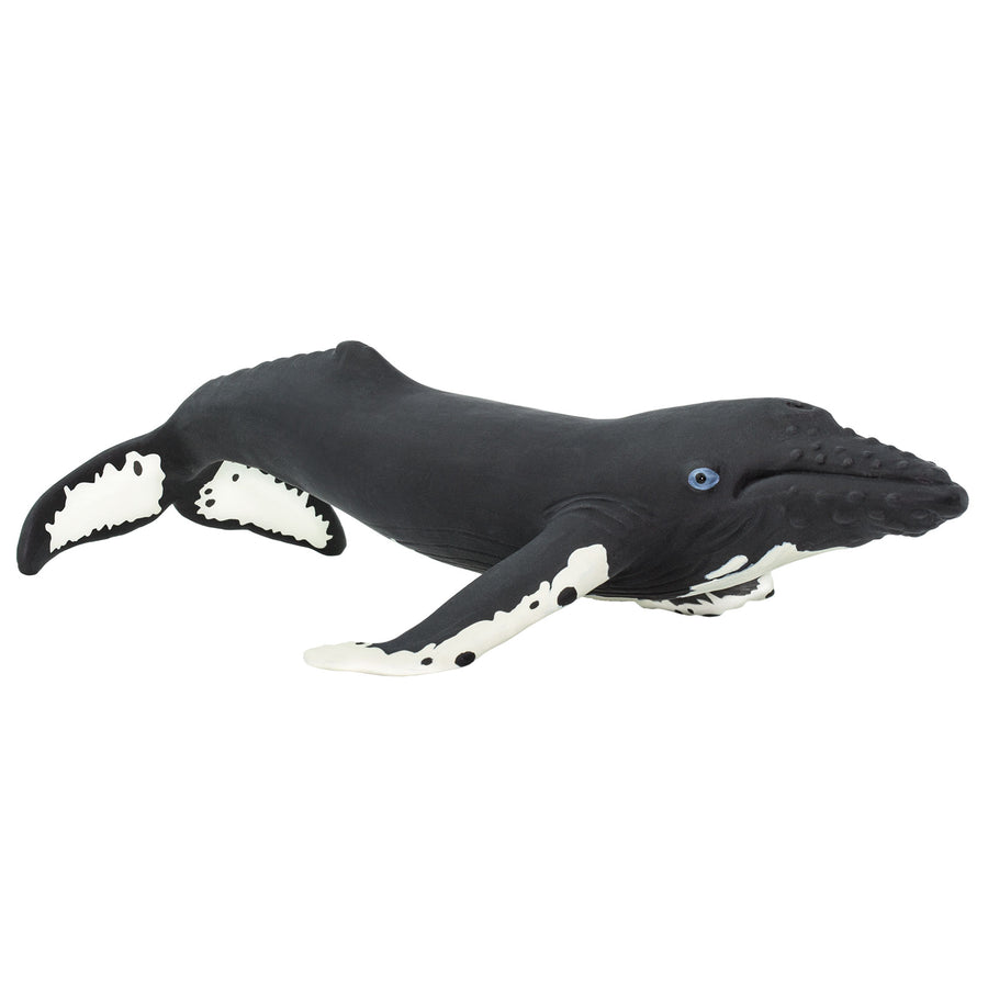 Humpback Whale Toy - Sea Life Toys by Safari Ltd.