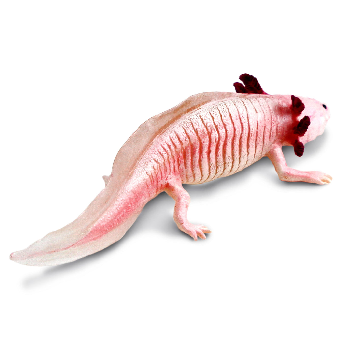 Axolotl Toy Figure | Incredible Creatures | Safari Ltd®