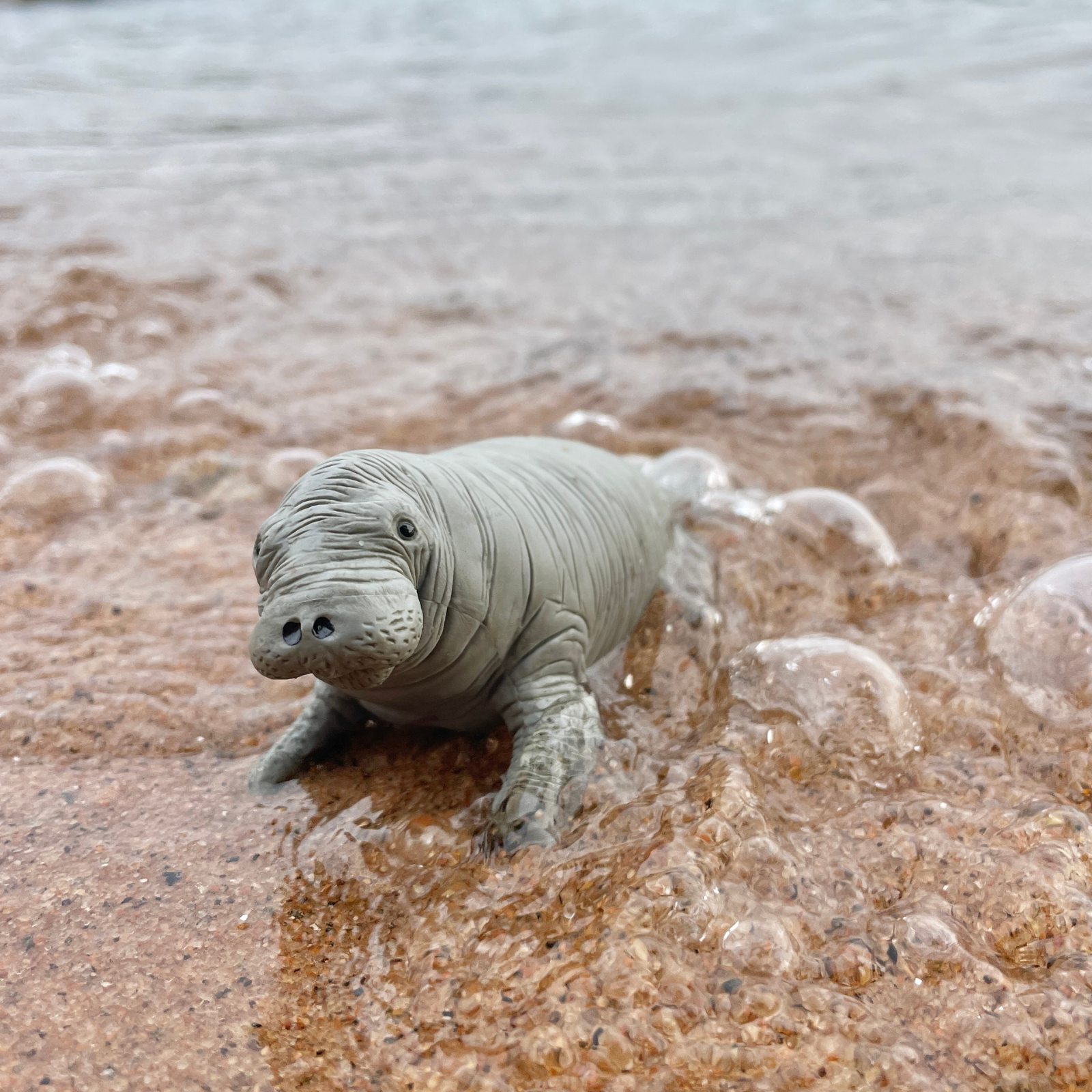 Manatee Toy