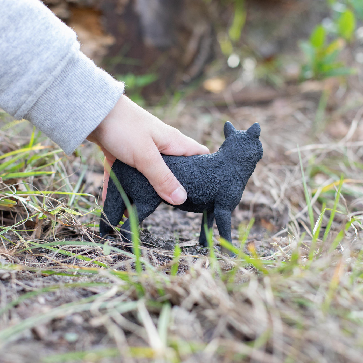 Black Wolf Toy | Wildlife Animal Toys | Safari Ltd®