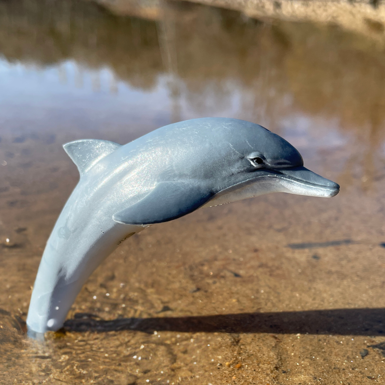 Dolphin Toy