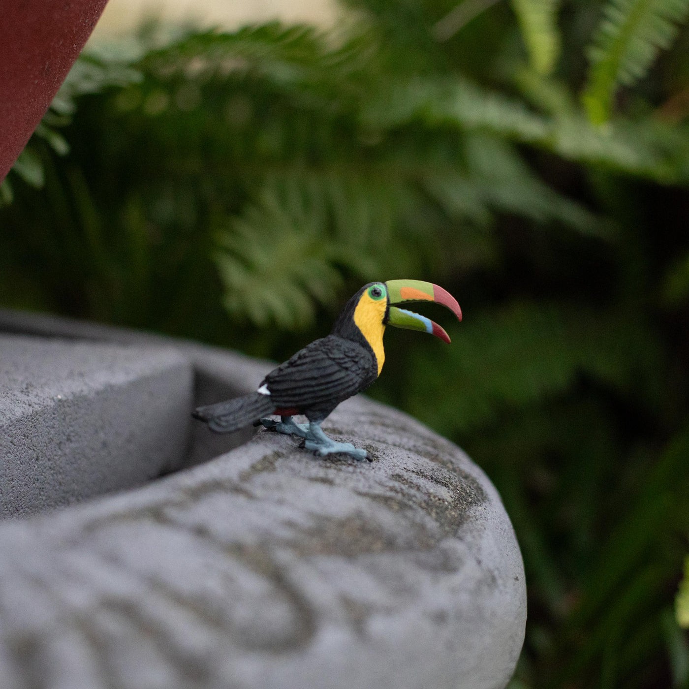 Toucan Toy | Wildlife Animal Toys | Safari Ltd®