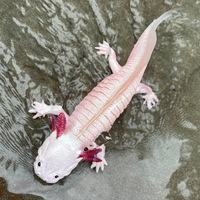 Axolotl Toy Figure | Incredible Creatures | Safari Ltd®