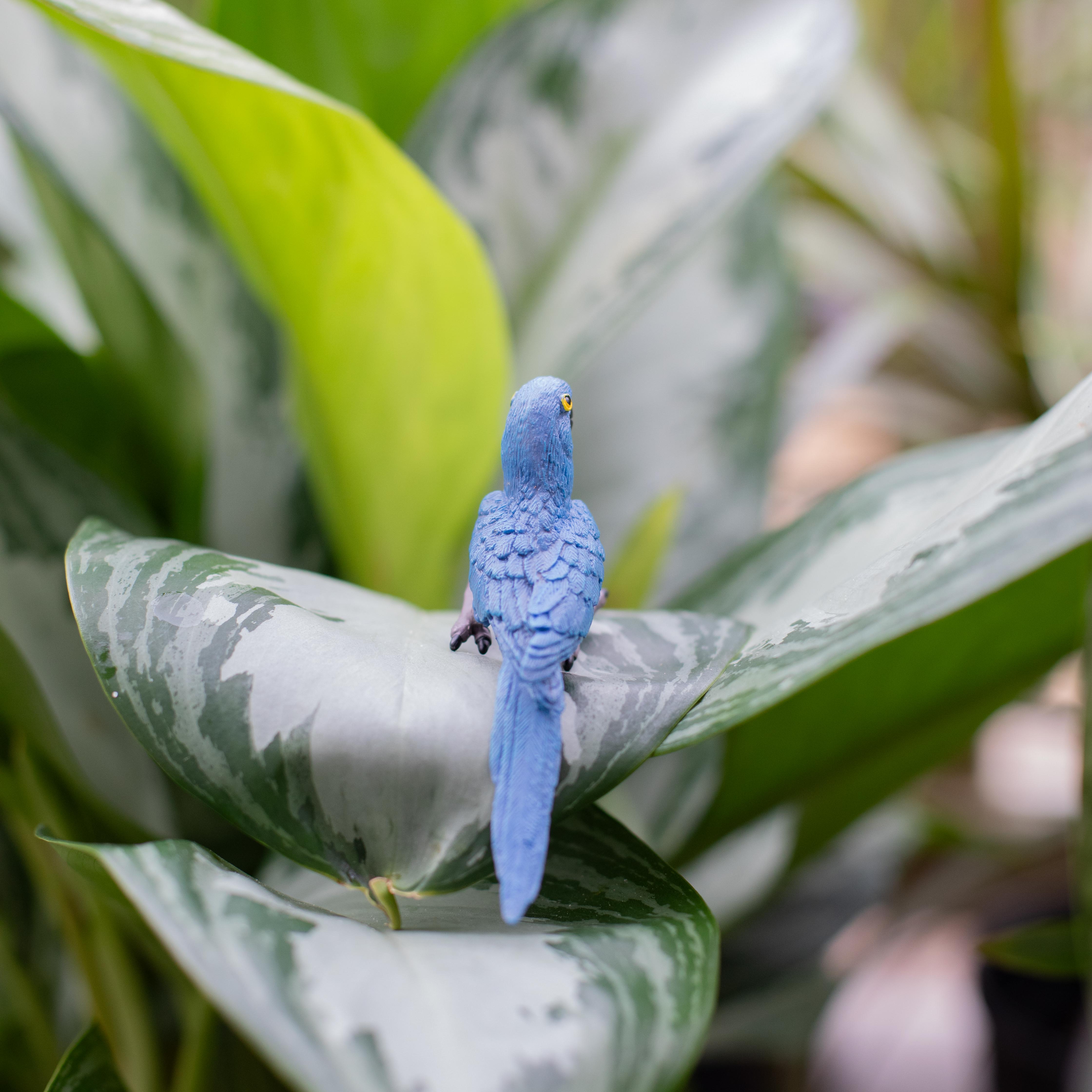 Hyacinth Macaw Toy | Wildlife Animal Toys | Safari Ltd®