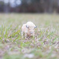 White Buffalo Toy | Wildlife Animal Toys | Safari Ltd®