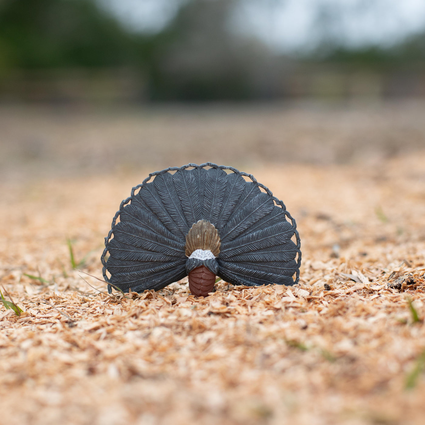 Peacock Toy | Wildlife Animal Toys | Safari Ltd®