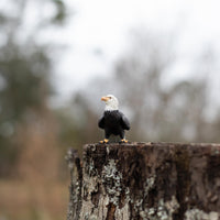 Bald Eagle Toy | Wildlife Animal Toys | Safari Ltd®