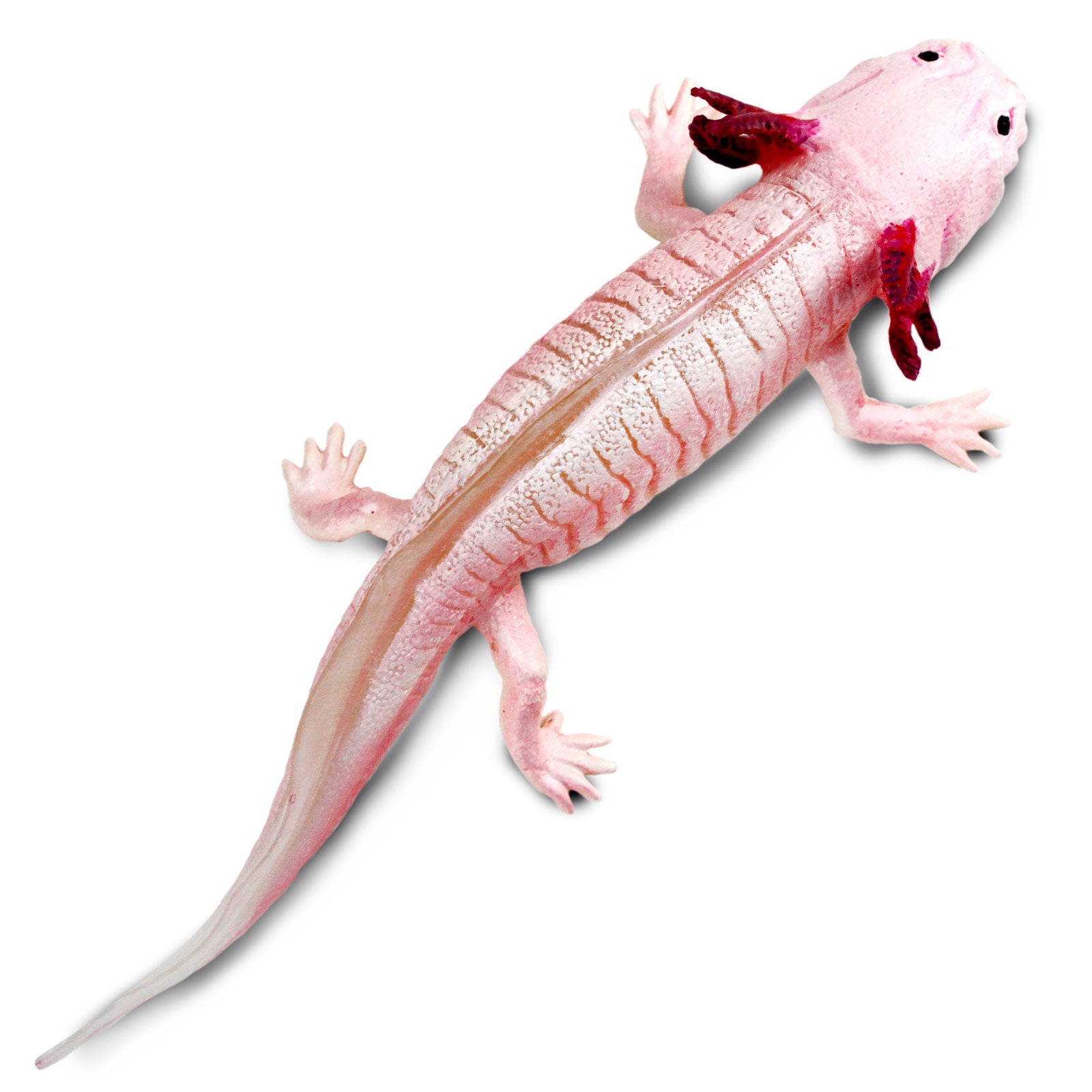 Axolotl Toy Figure | Incredible Creatures | Safari Ltd®