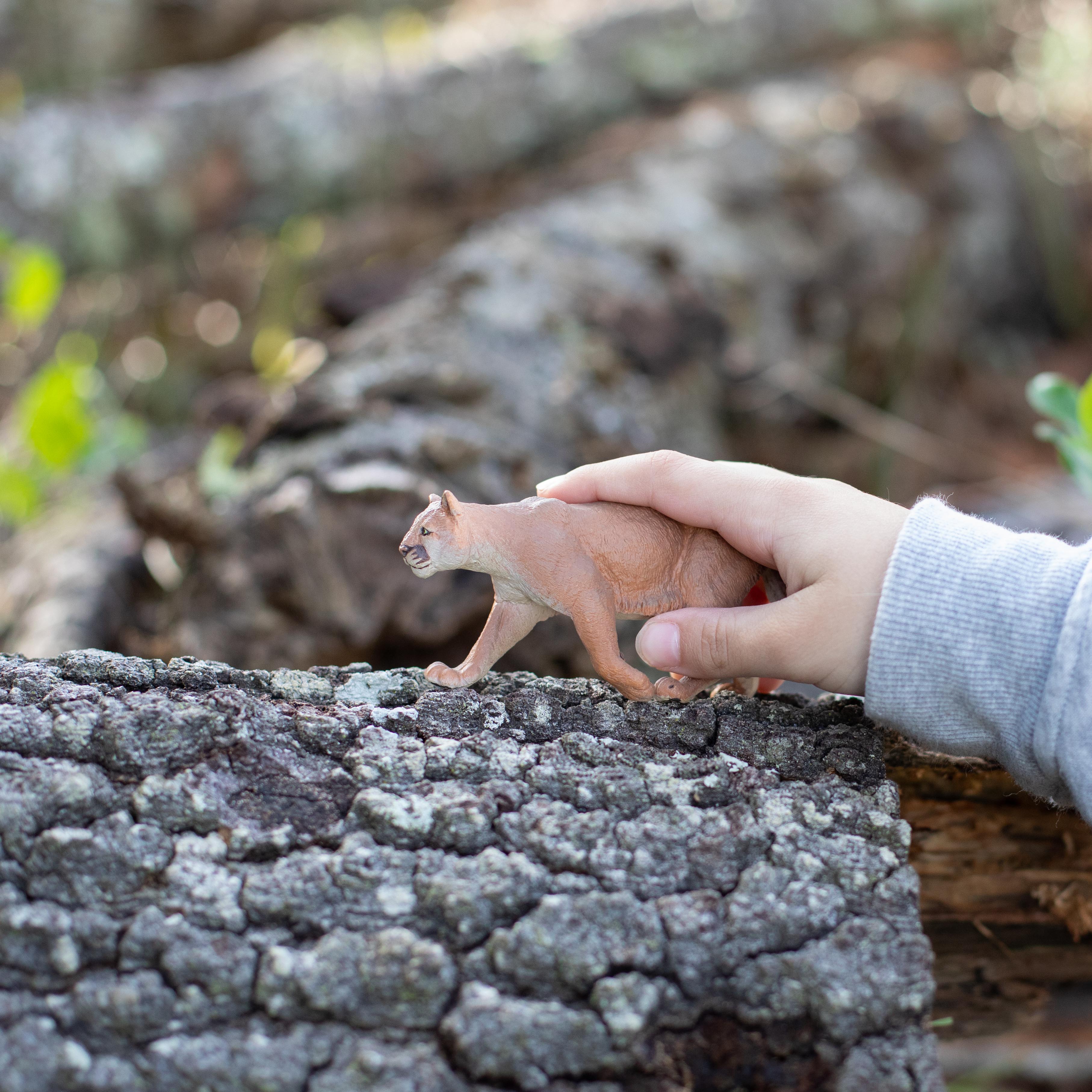 Mountain Lion Toy | Wildlife Animal Toys | Safari Ltd®