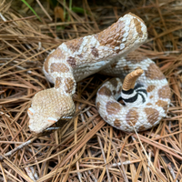 Western Diamondback Rattlesnake Toy |  | Safari Ltd®