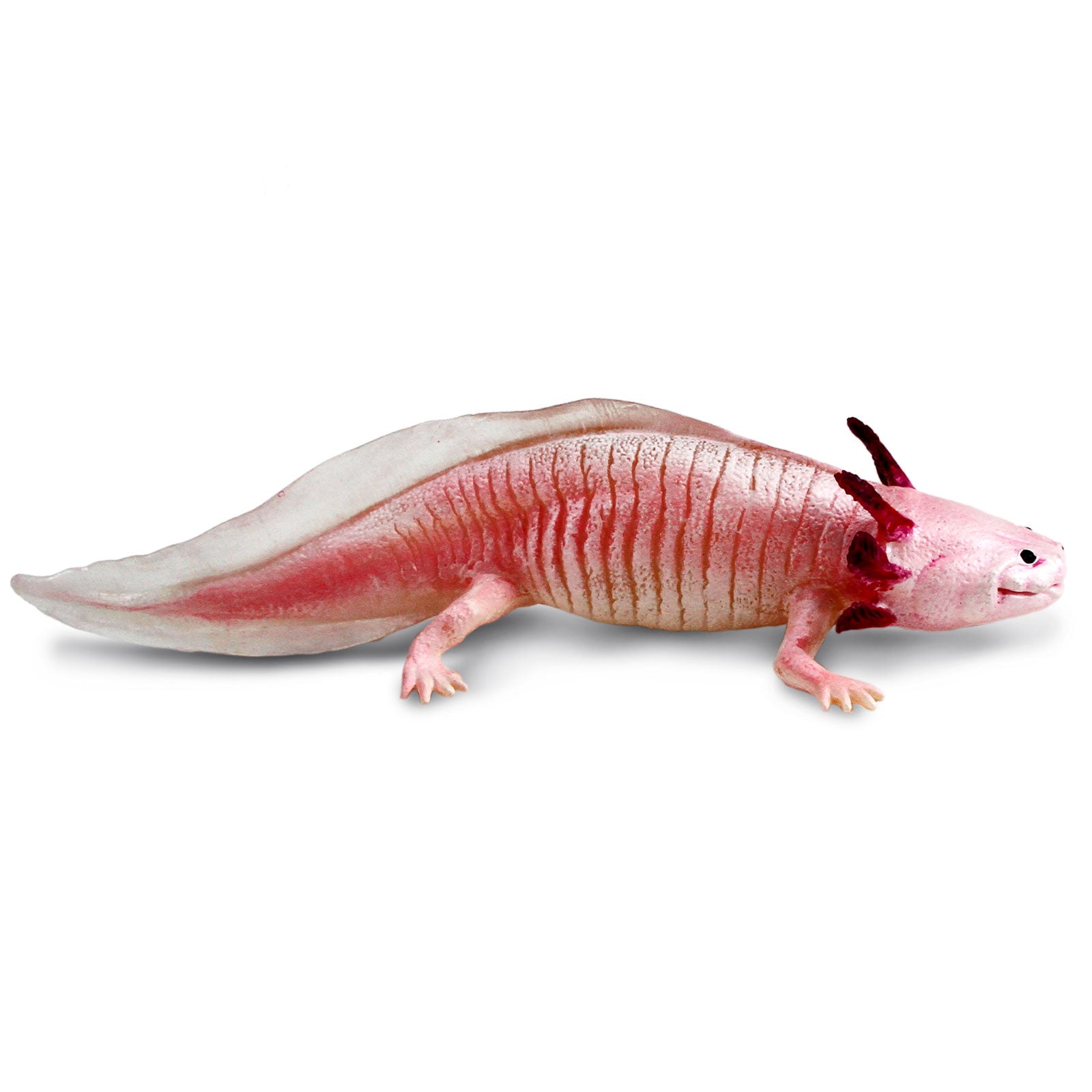 Axolotl Toy Figure | Incredible Creatures | Safari Ltd®