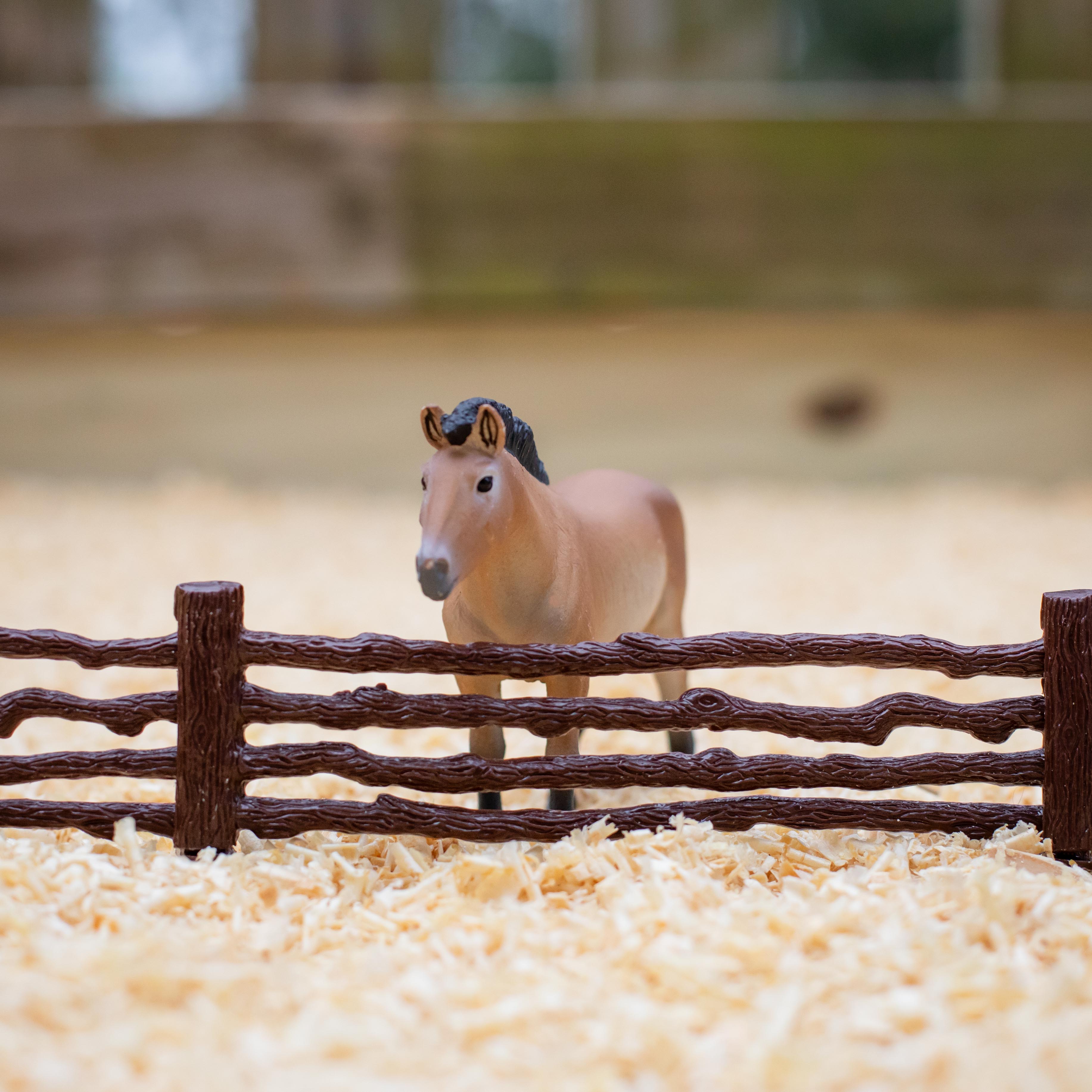 Przewalski's Horse Toy | Farm | Safari Ltd®