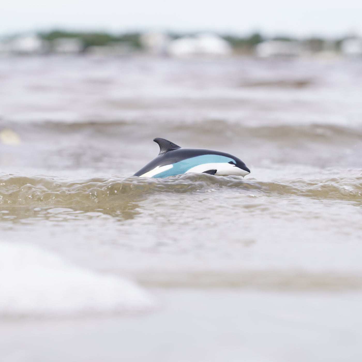 Atlantic White-Sided Dolphin Toy