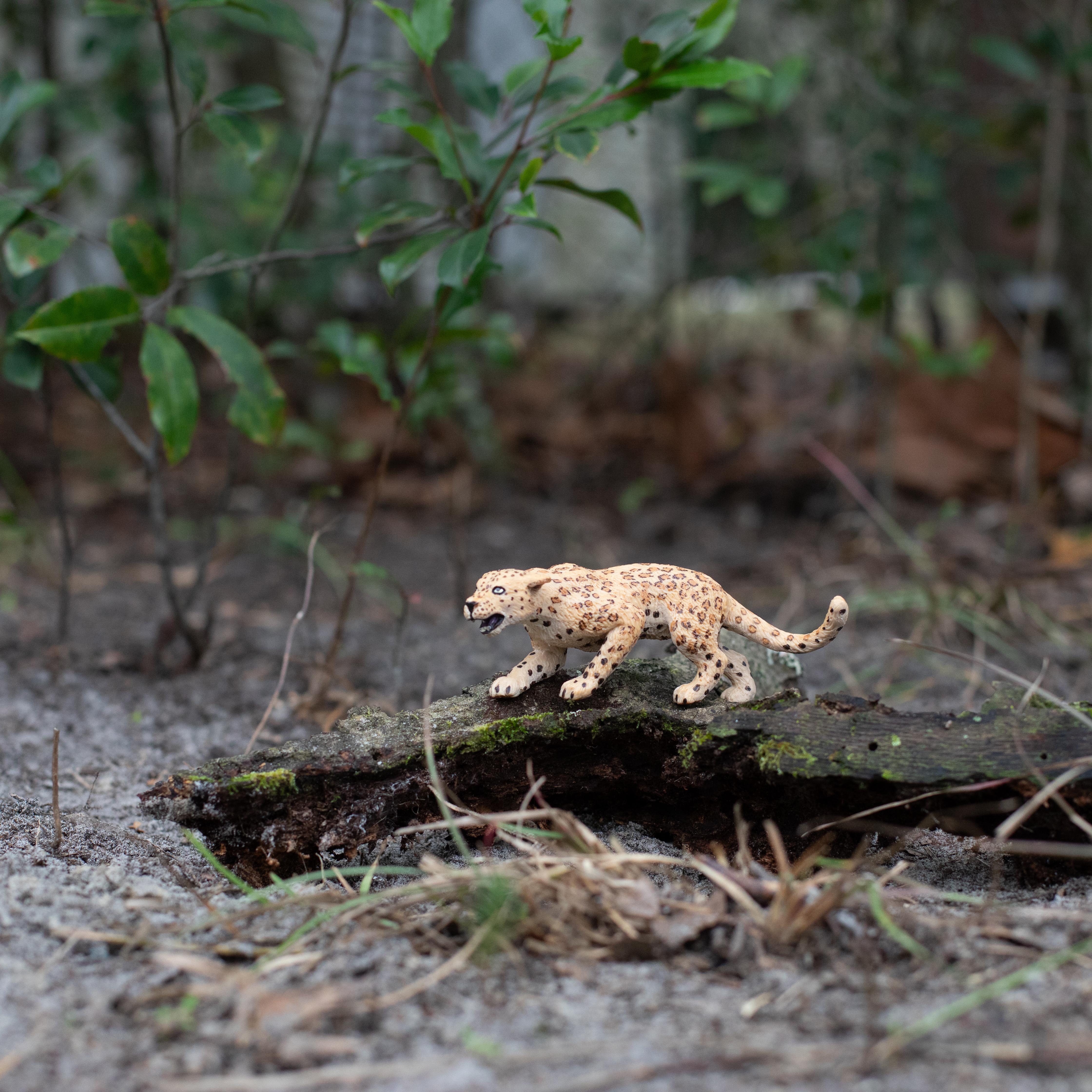 Leopard Toy | Wildlife Animal Toys | Safari Ltd®