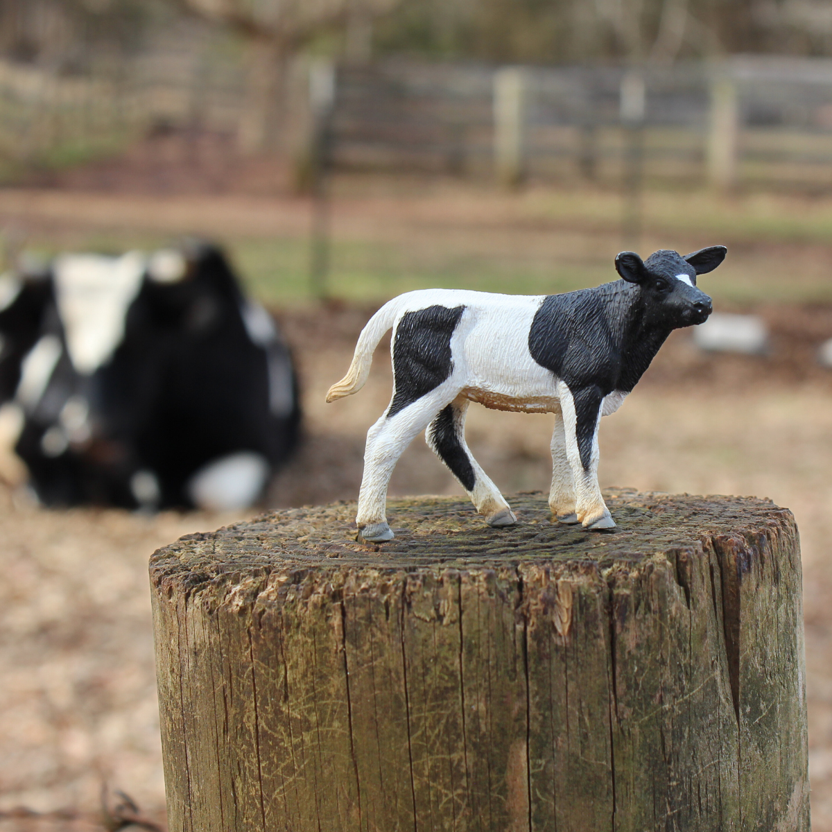 Holstein Calf Toy