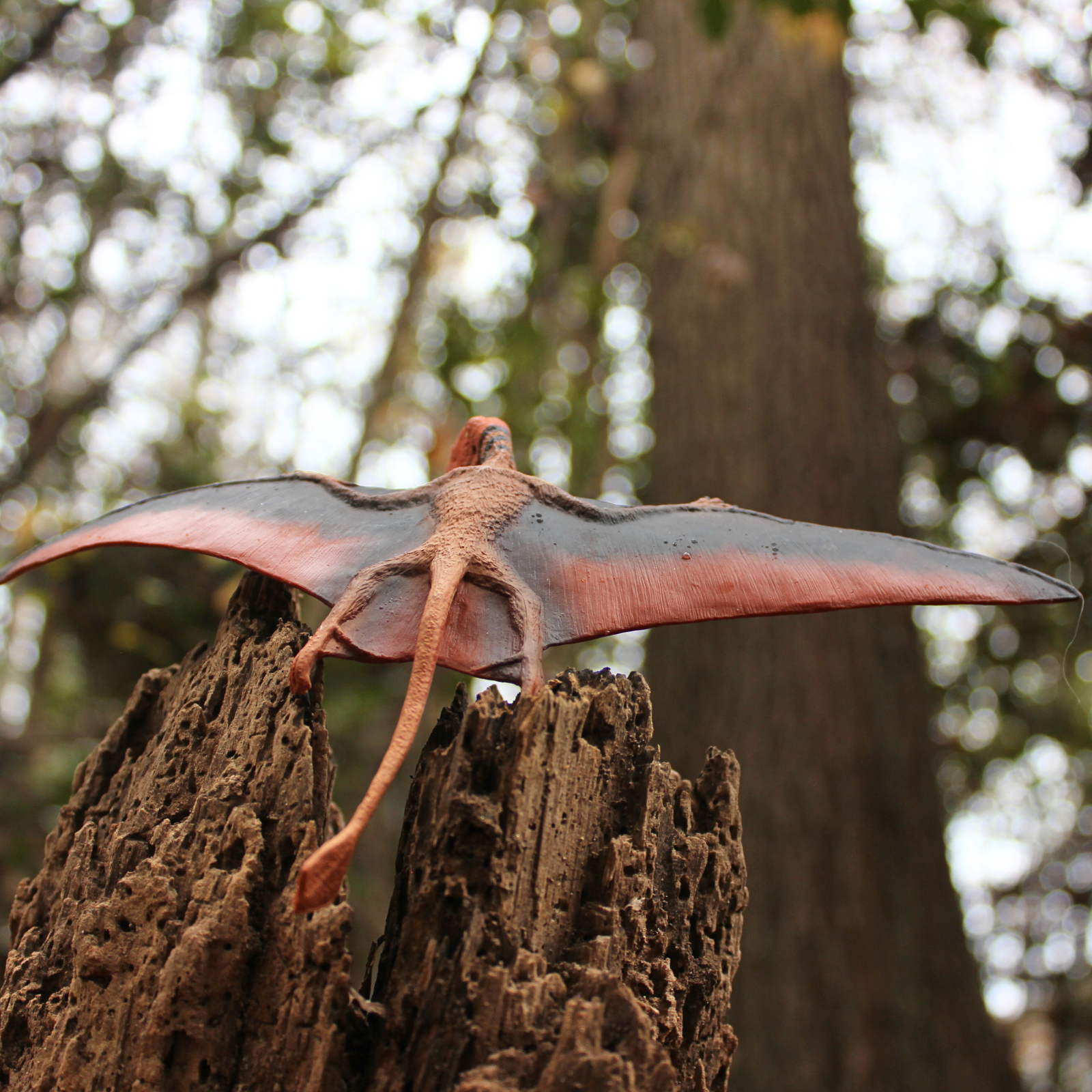 Dimorphodon Toy