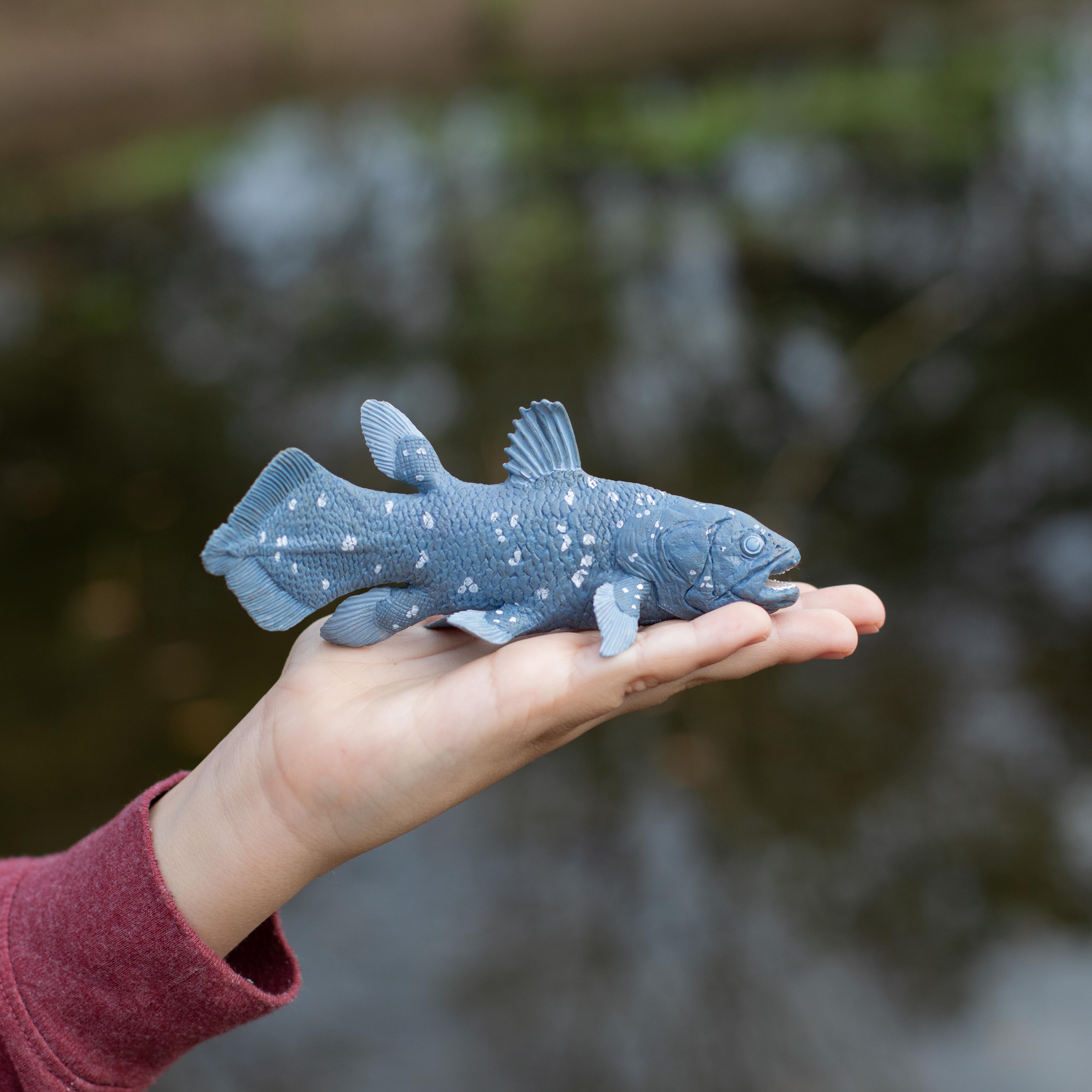 Coelacanth | Dinosaur Toys | Safari Ltd®