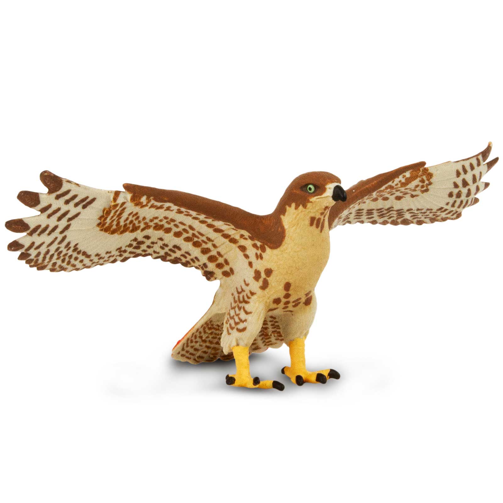 Red-Tailed Hawk Toy