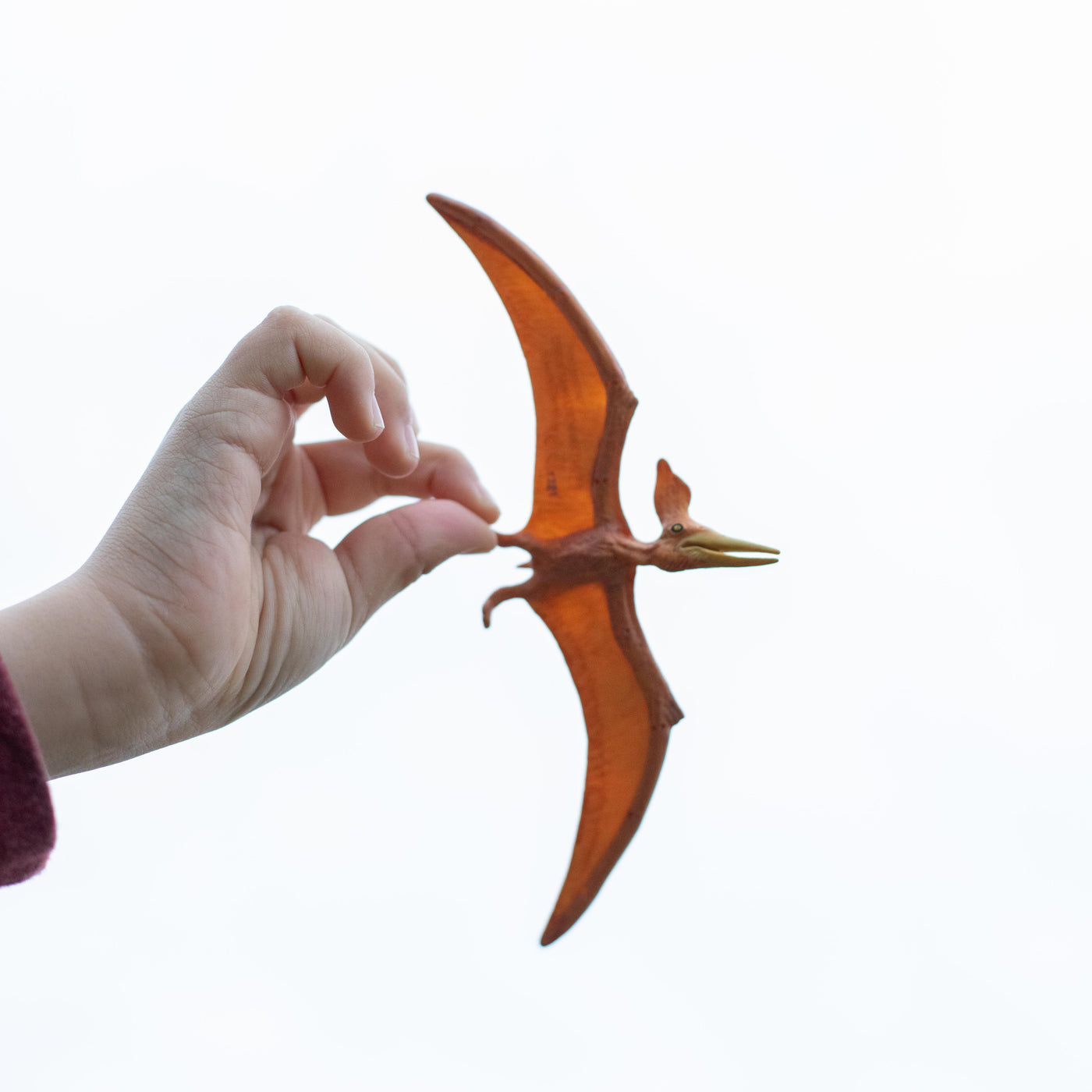 Pteranodon Toy | Dinosaur Toys | Safari Ltd®