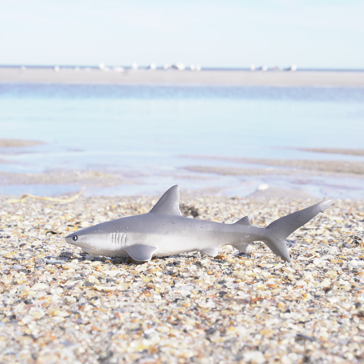 Gray Reef Shark Toy