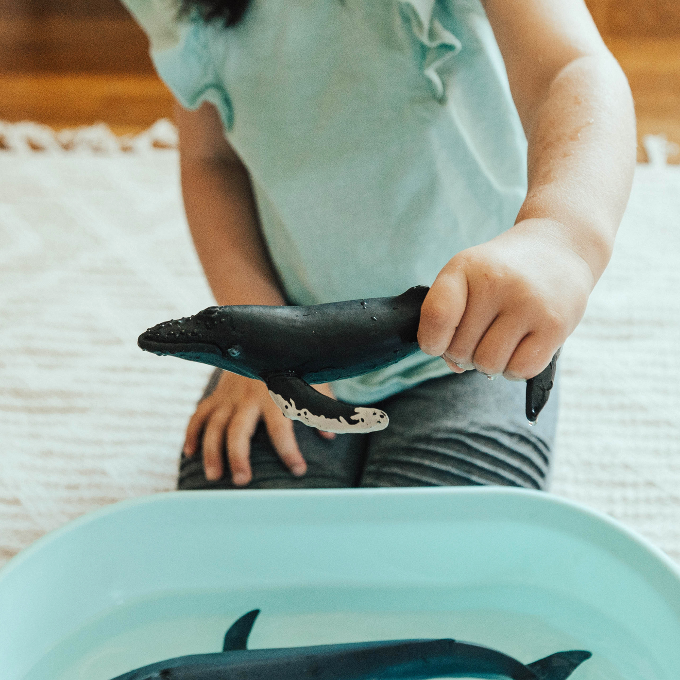 Humpback Whale Toy