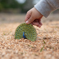 Peacock Toy | Wildlife Animal Toys | Safari Ltd®