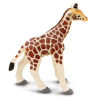 Giraffe Baby - Safari Ltd®