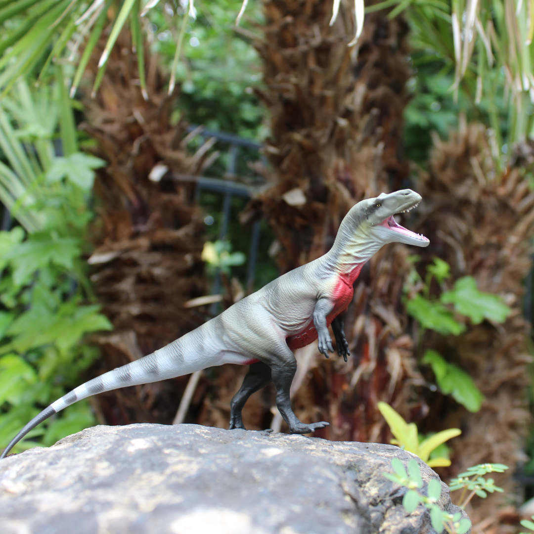 Megalosaurus Toy Figure |  | Safari Ltd®