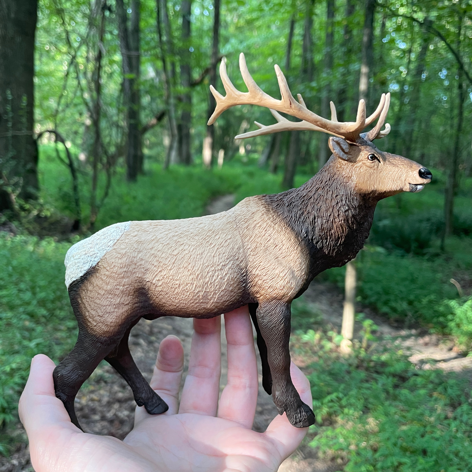 Elk Toy Figure | Wild Wildlife | Safari Ltd®