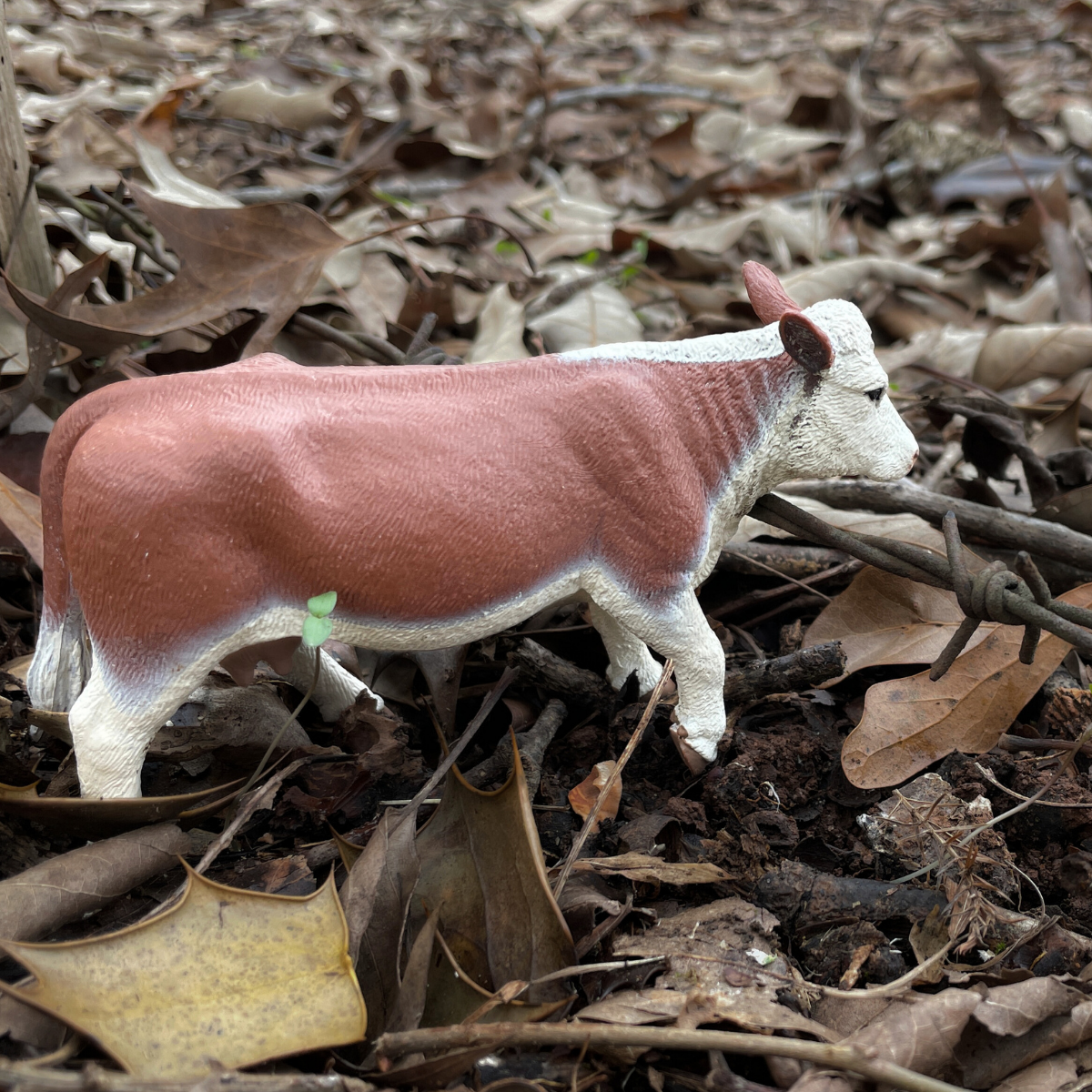 Hereford Cow Toy