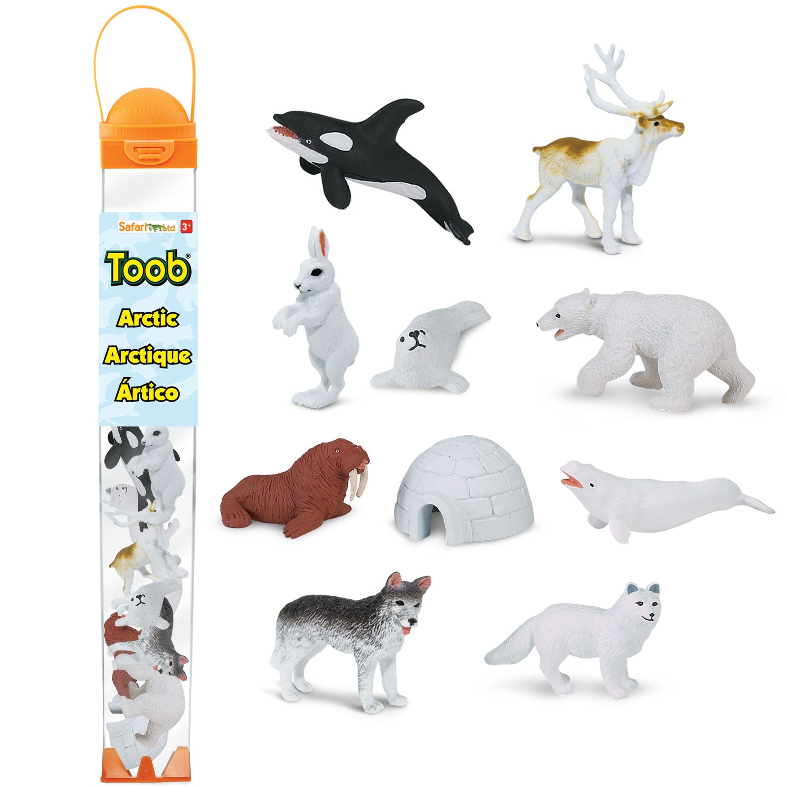 Arctic TOOB® - Safari Ltd®