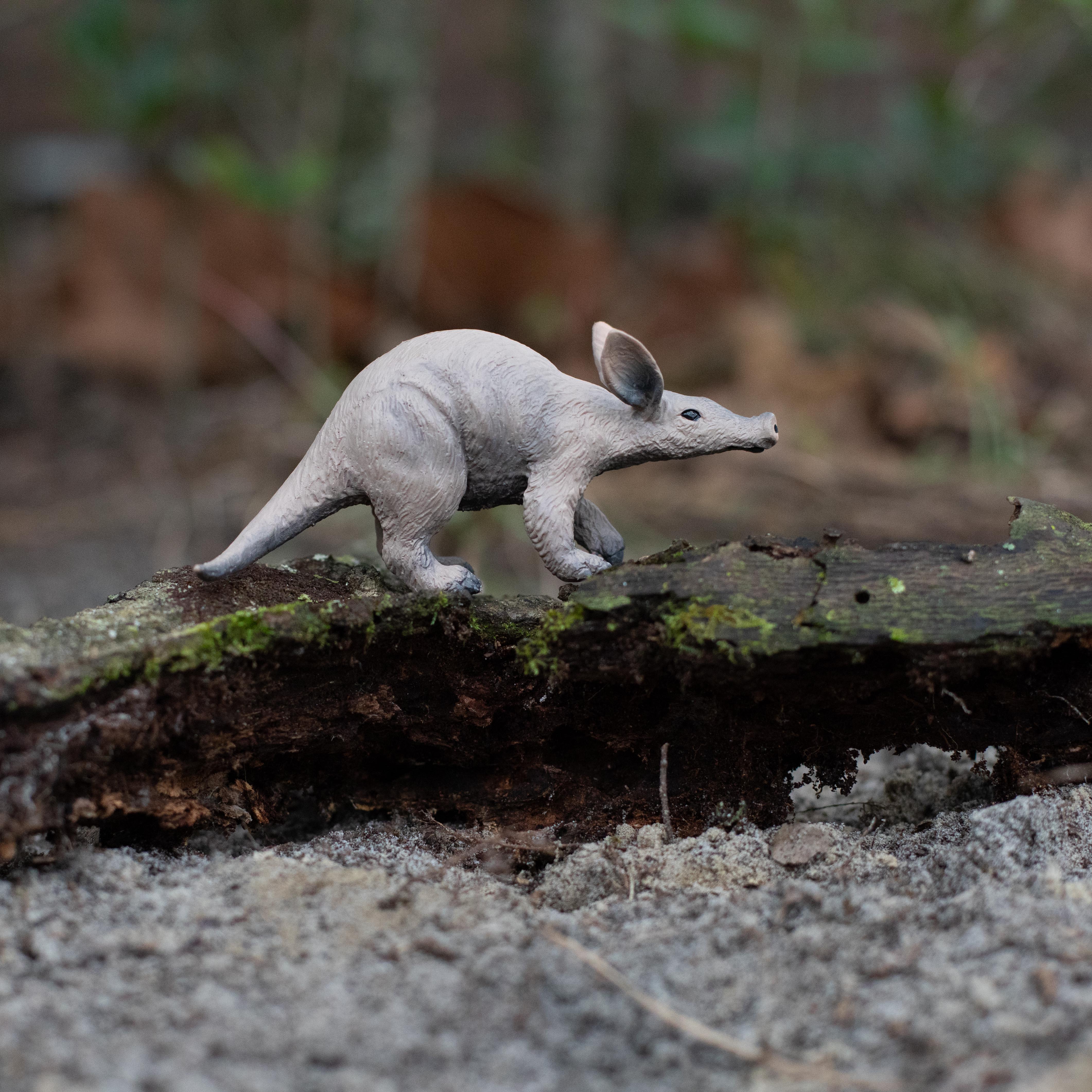 Aardvark Toy | Wildlife Animal Toys | Safari Ltd®