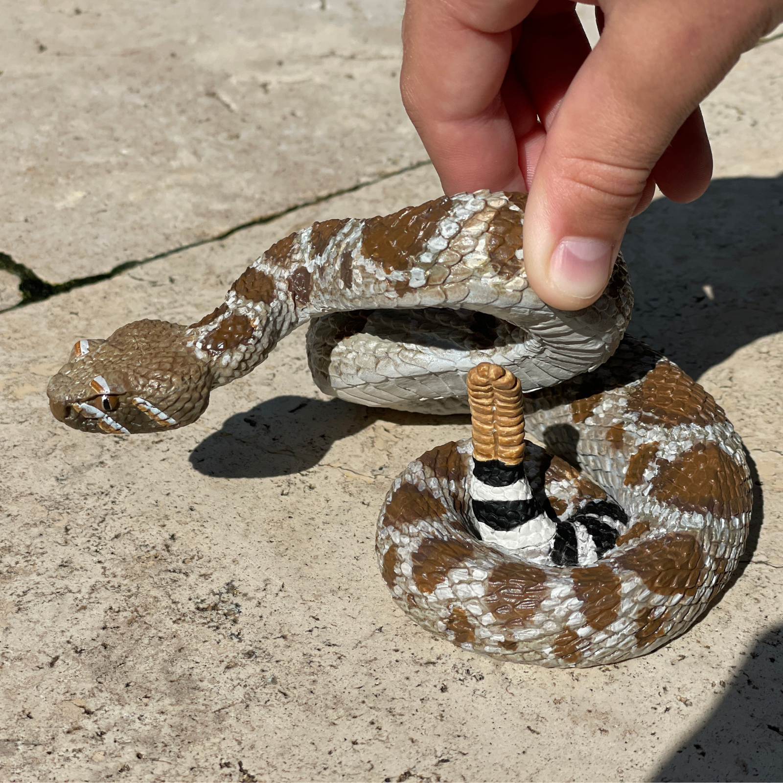 Western Diamondback Rattlesnake Toy |  | Safari Ltd®