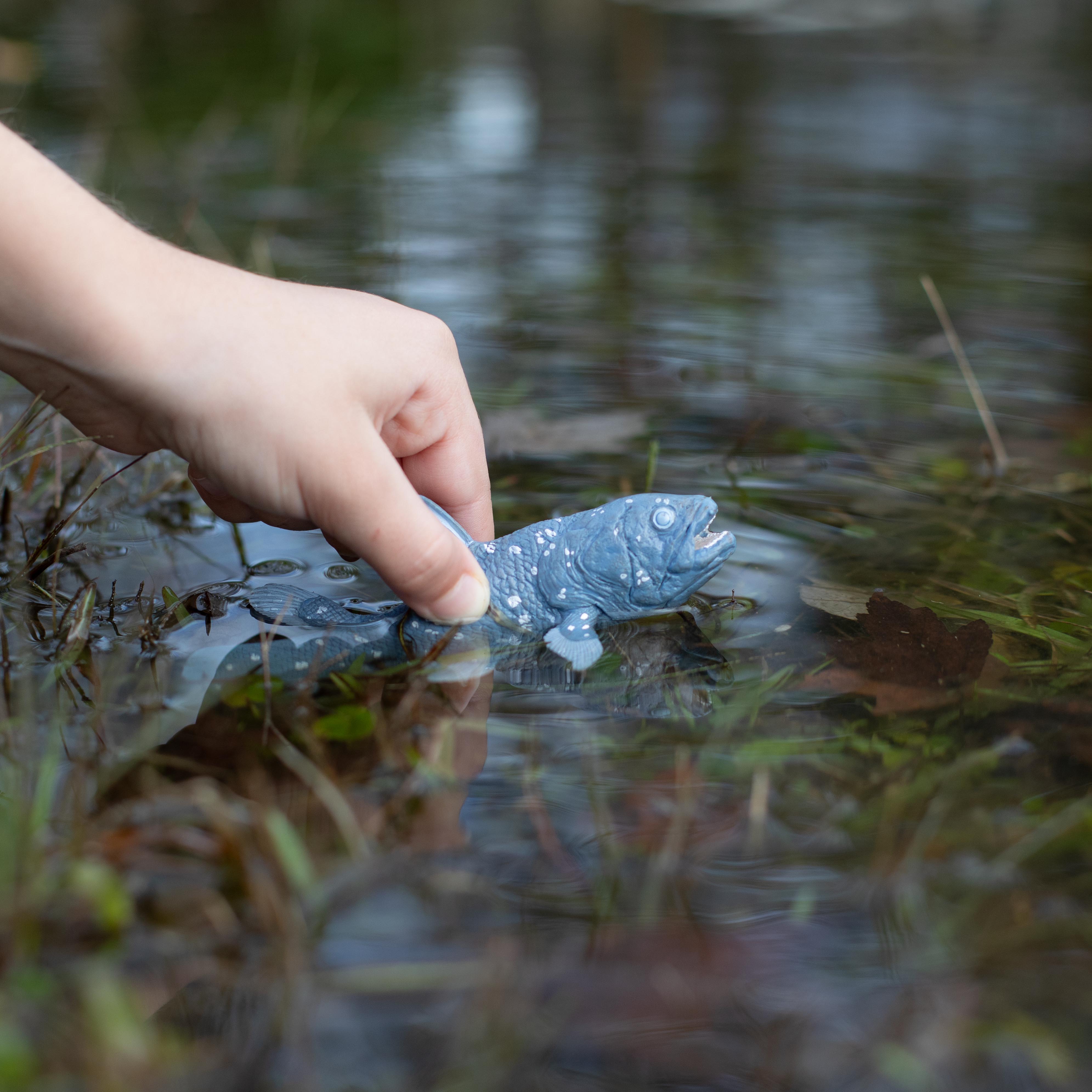 Coelacanth | Dinosaur Toys | Safari Ltd®