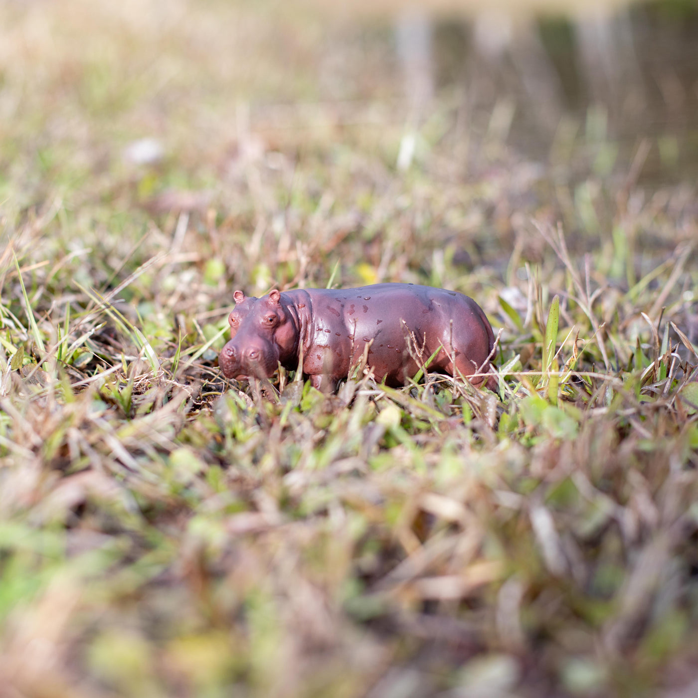 Hippopotamus Toy | Wildlife Animal Toys | Safari Ltd®